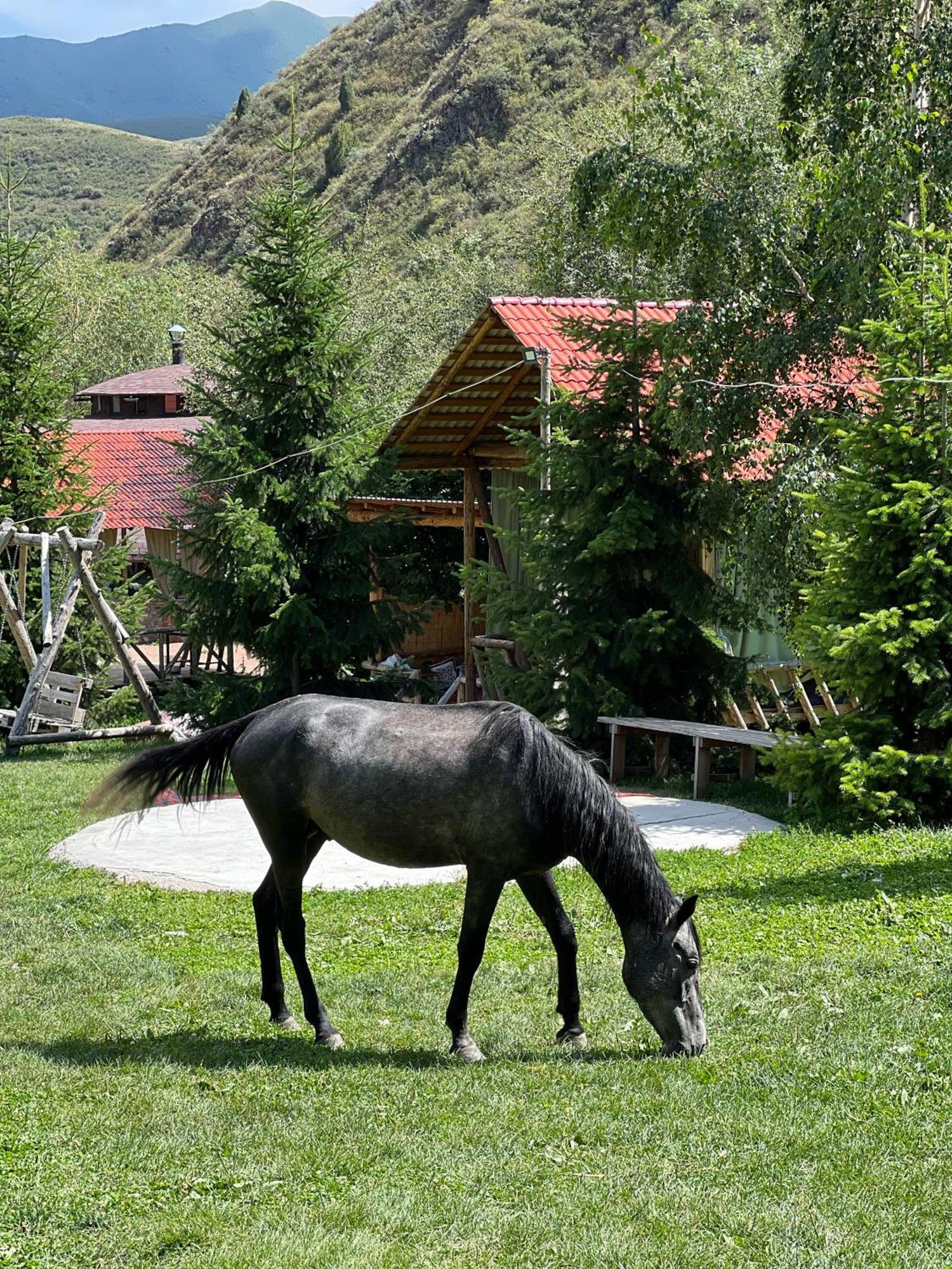Eco Resort Kara Bulak Biszkek Zewnętrze zdjęcie